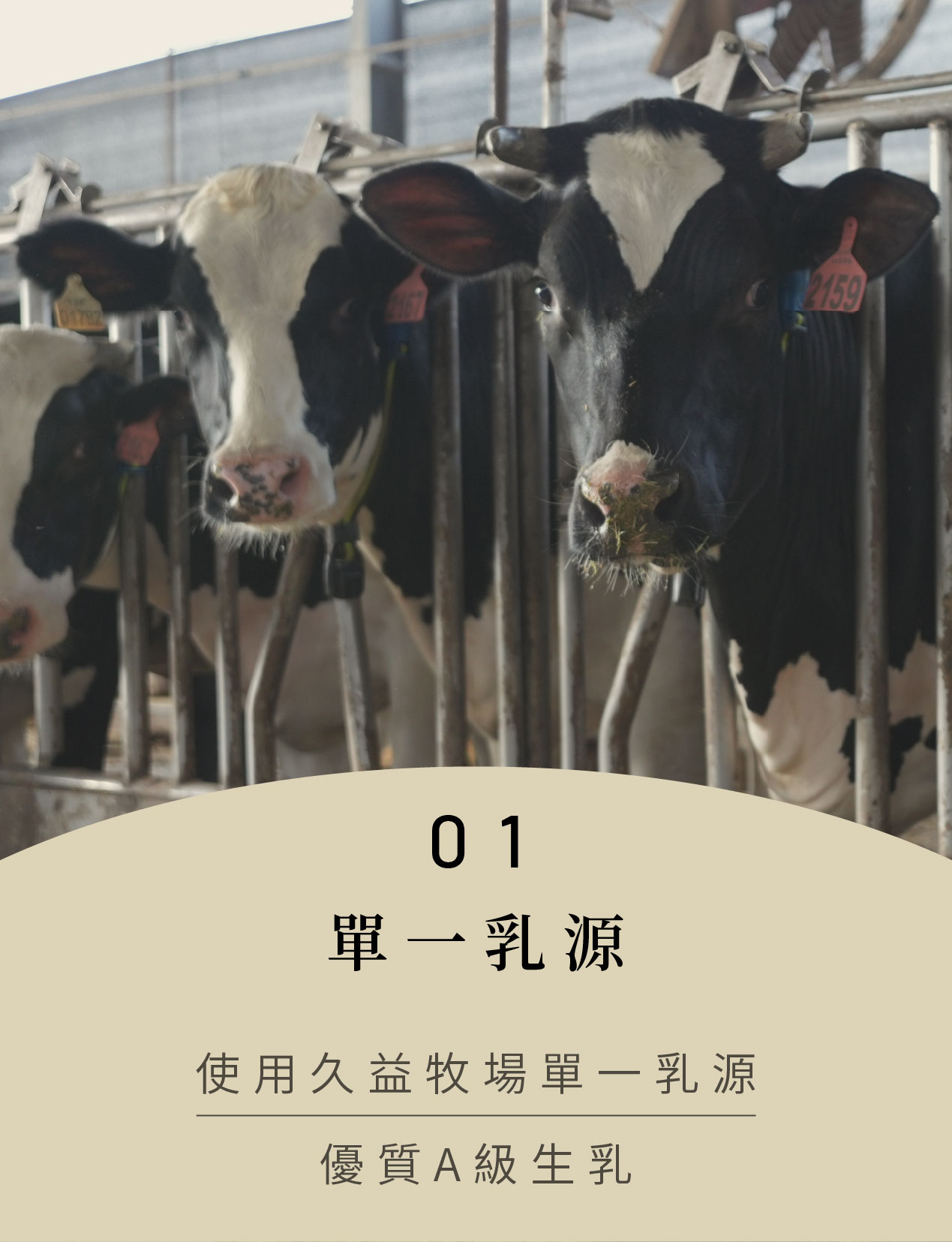 單一乳源